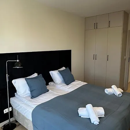Centaurus W Centrum Olsztyna Appartement *